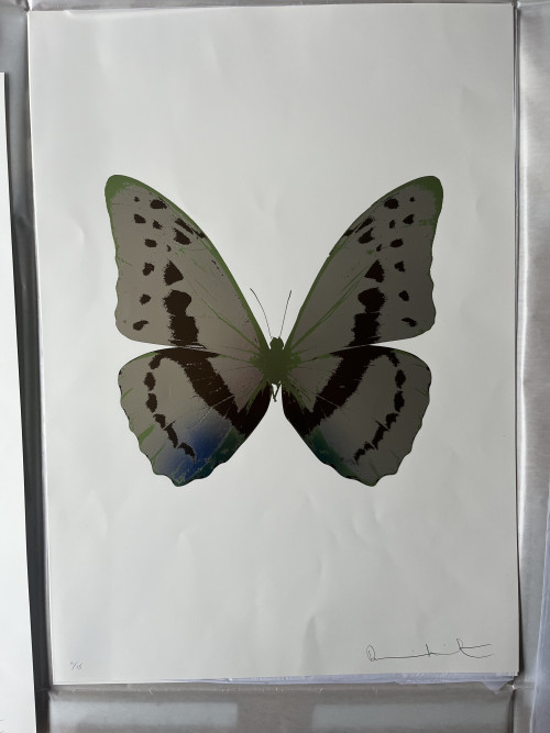 The Souls III - Silver Gloss/Chocolate/ Leaf Green 2010