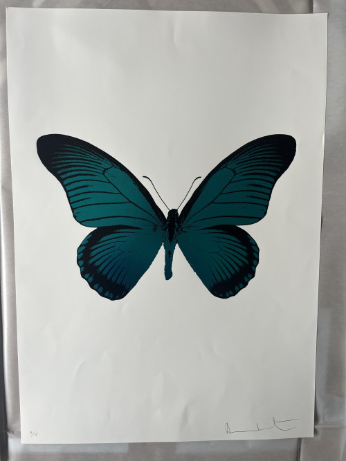 The Souls III - Turquoise/Raven Black 2010