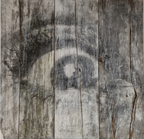 The Wrinkles of the City, Los Angeles, Eye n°7